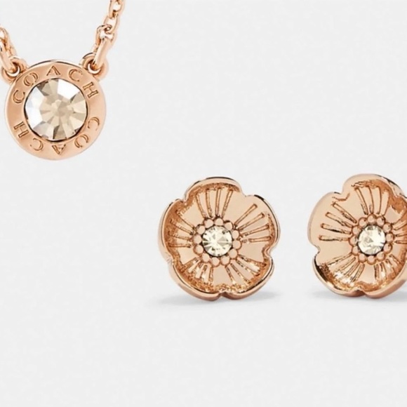 Coach Rose Gold Necklace and Stud Earrings Set - Picture 2 of 9